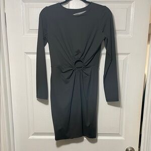 Susana Monaco Elegant Long Sleeve Dress
